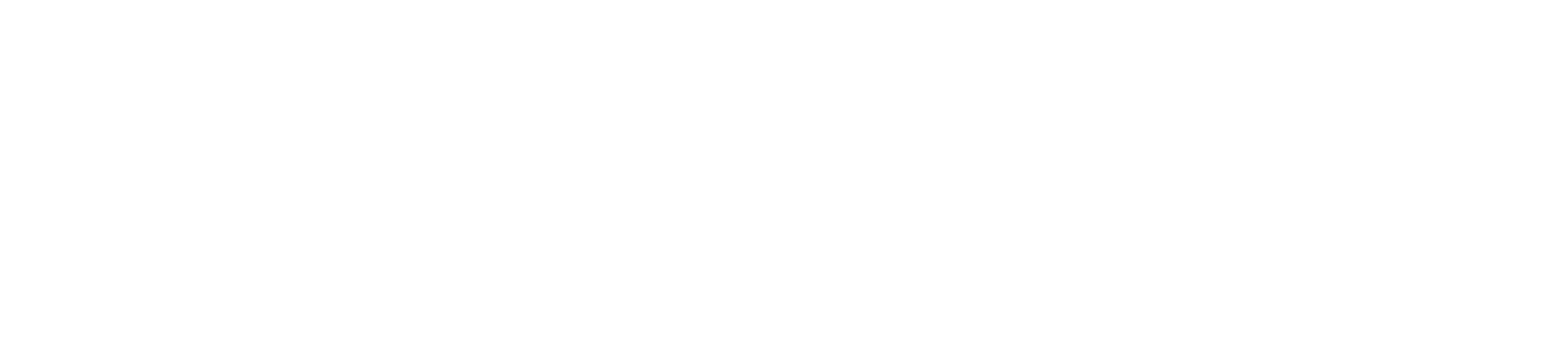 fijivillage