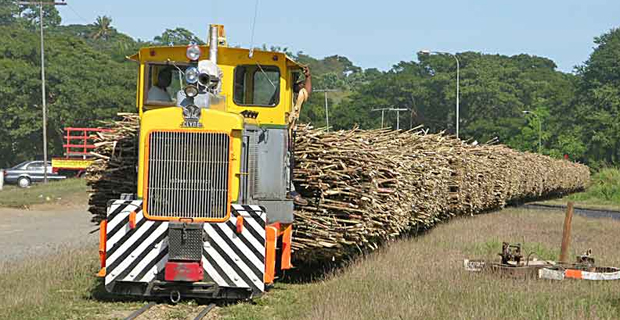 Man passes away after being hit by locomotive while allegedly sleeping on the track