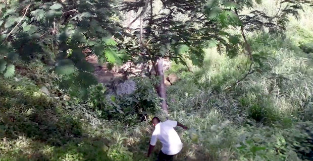 Health Minister helps in the rescue of stroke patient from Holland Street creek