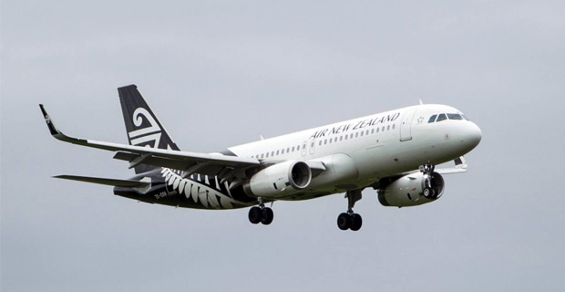 Flight going to Christchurch delayed after a passenger tried to bring a rifle on board