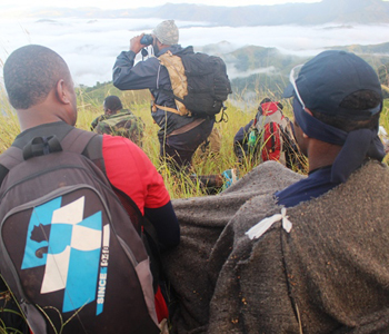 30,000 marijuana plants found under Police Operation Cavuraka 