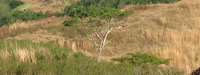 Multimillion dollar developments underway in Nasinu