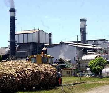 Too many employees at FSC â€“ New CEO