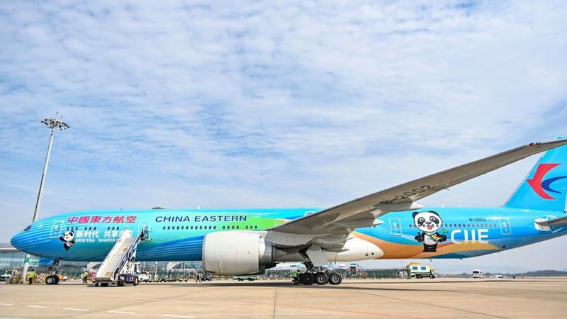 China asks cabin crew to wear nappies to reduce virus risk