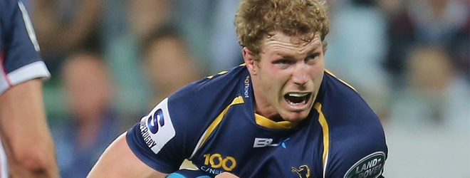 Larkham hopes Pocock will remain with Brumbies