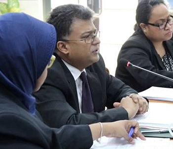 Bill contains new process to make changes to national flag after Oct 10