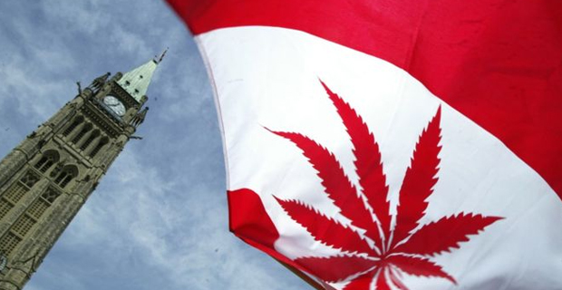 Canada becomes second country to legalise recreational marijuana