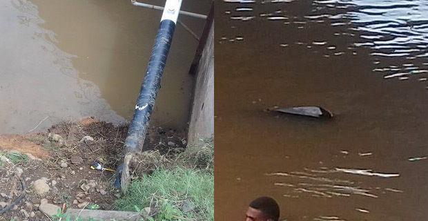 Man dies after vehicle veers into river in Sabeto
