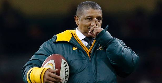 Springboks have blueprint to beat vulnerable All Blacks