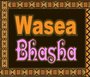 FBC TV CEO and Board should be held accountable for Wasea Bhasha content - Ro Teimumu Kepa