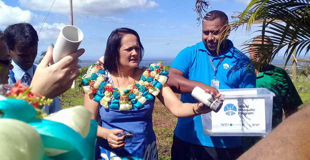 First batch of Wolbachia carrying mosquitoes released today in Tamavua Village