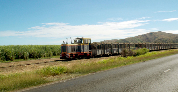 3 mills have crushed a total of 611,339 tonnes of cane so far this year - FSC
