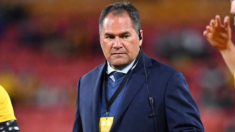 Wallabies coach not underestimating Japan