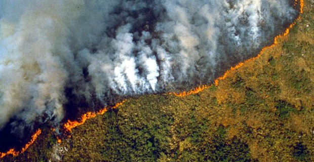 Amazon rainforest fires is an international crisis - French President Emmanuel Macron