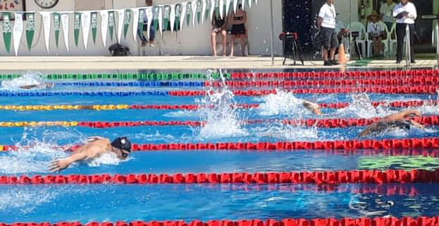 Team USA qualifies for most of the remaining finals of Pan Pacific Swimming Championship