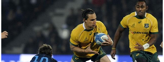 Wallabies defeat Argentina