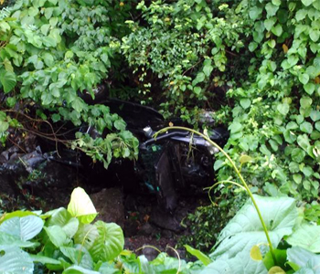 22yr old man dies in Taveuni road accident