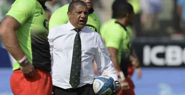 Springboks ready for another All Blacks clash
