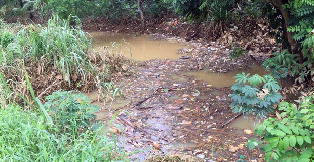 Increase in number of drains on road reserves being frequently covered in household rubbish - FRA