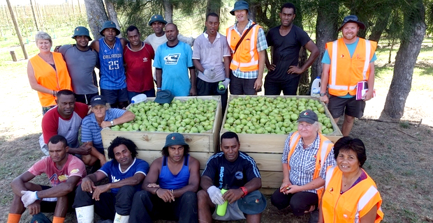 Fijians working under NZ Seasonal Work Scheme expected to increase this year