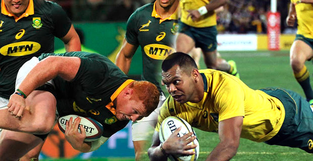 Western Force fans urged not to boycott Wallabies-Springboks clash