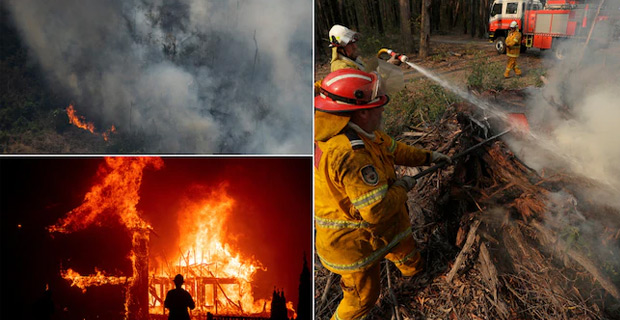 Australian bushfires burn more land than Amazon and California fires combined