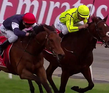 Almandin wins 2016 Melbourne Cup