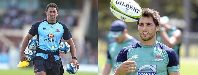 Phipps believes coach can help Waratahs beat Crusaders 