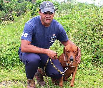 K9 Officer and K9 Rex help in arrest