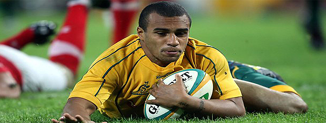 Genia misses out on Bledisloe Cup tests