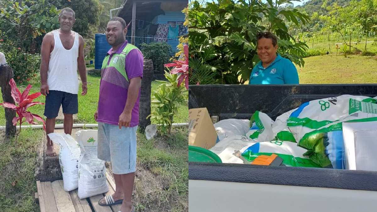 Serua and Namosi farmers receive essential dalo and ginger planting materials