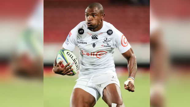 Springboks stars make Sharks run-on team for Highlanders encounter