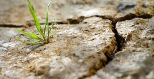 Dry weather conditions experienced around Fiji may affect the supply of water - WAF