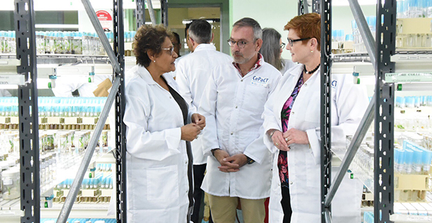 Australian Government to help strengthen food security in the Pacific