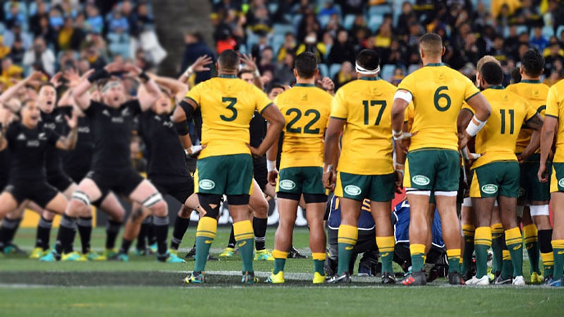 Wallabies given seven days to arrive in NZ for Bledisloe Cup