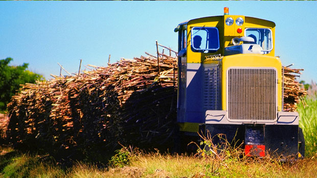 The 3rd cane payment of $11per tonne to be paid tomorrow