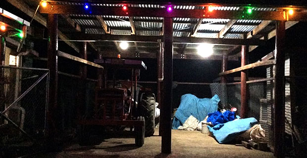 Over 250 rice farmers in Nagigi have better access to a rice mill