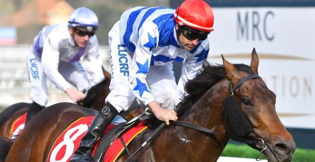 Harlem’s Melbourne Cup dream remains alive