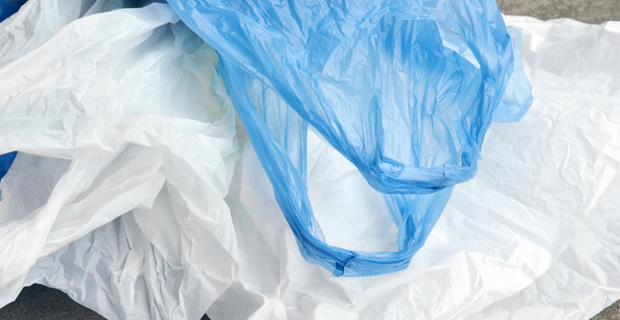 Environment Ministry will monitor compliance of single use plastic bags ban - Dr. Reddy