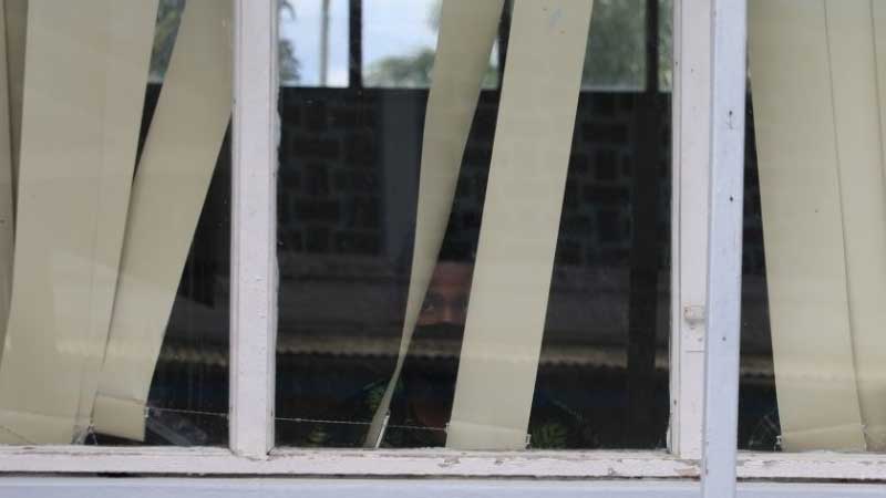 Alleged Nabua brawlers released on bail