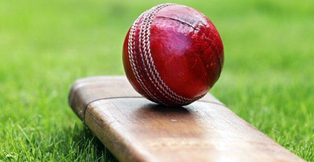 Fiji Cricket team chasing 158 for 8 wickets set by Vanuatu 