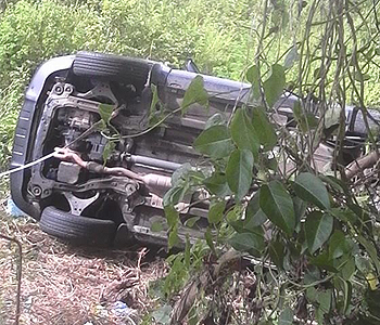 Tourists in hospital after road accident