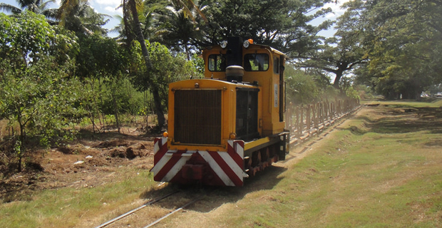 13-year-old student in hospital after being dragged by a moving sugarcane train