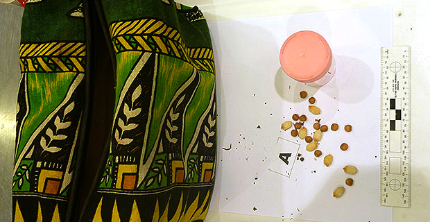 NZ Biosecurity refuse entry of Fijian passport‑holder into New Zealand