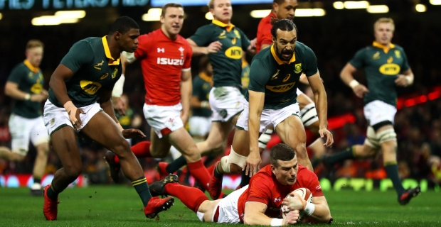 Wales end Autumn Rugby Series with a win over the Springboks 