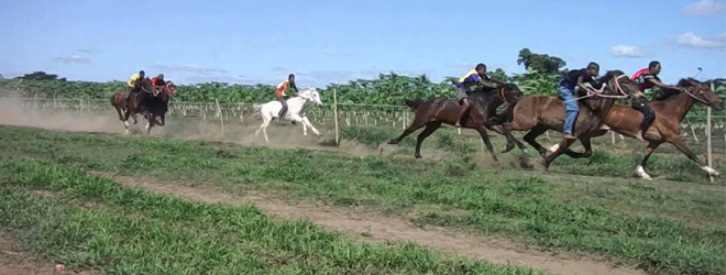 16 horse racing this Sunday at the new horse racing track