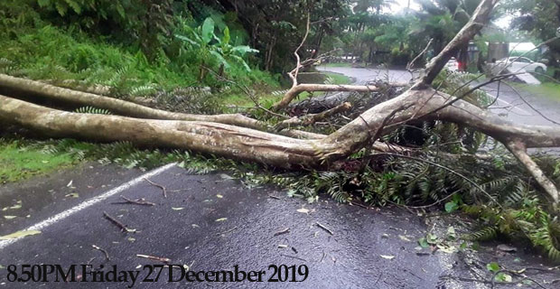  Multiple fallen trees along Princes Road at Colo-I-Suva - FRA