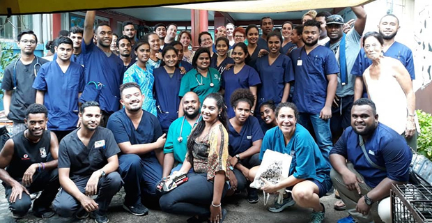 SPCA and other vet teams trying to solve problem of stray dogs through de-sex programme 