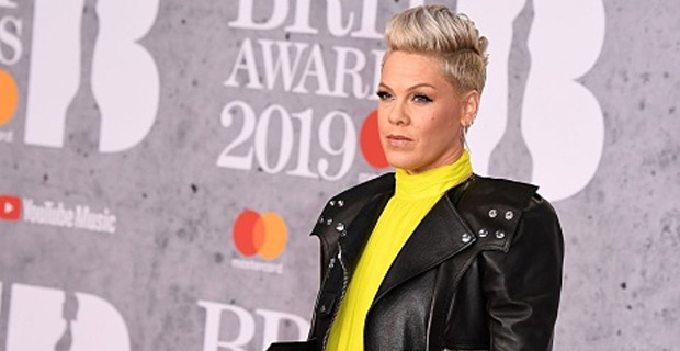 Pop star Pink pledges half-a-million dollars to the Australian bushfire relief