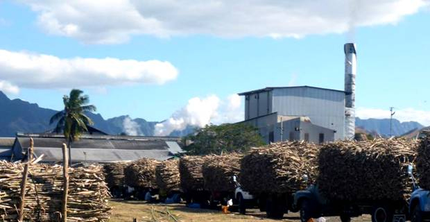 Fourth cane payment to be paid next Friday